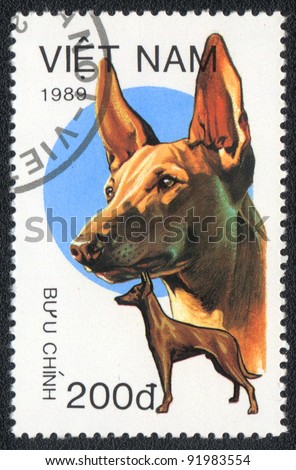 VIETNAM - CIRCA 1989: A stamp printed in VIETNAM shows  a Pharaoh Hound,  from series Breeds of hunting dogs, circa 1989