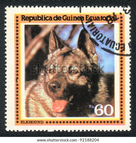 EQUATORIAL GUINEA - CIRCA 1978: A stamp printed in EQUATORIAL GUINEA shows  a Norwegian Elkhound,  from series Breeds of dogs, circa 1978