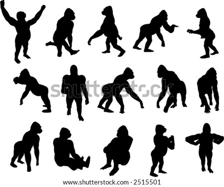 Gorillas Silhouette