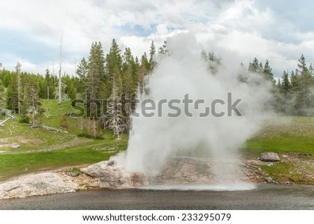 Powerful eruption of the Riverside Geyser on the Firehole River in  Yellowstone National Park