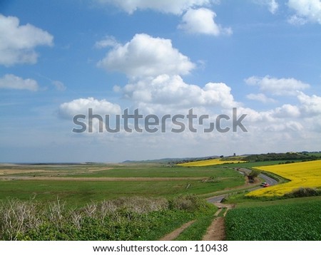 Fields  yellow rapeseed flowers sky clouds blue sky color landscape Norfolk