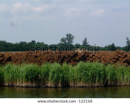 Thatch roof reeds stacked river marsh bundle broards Norfolk crop harvest cut