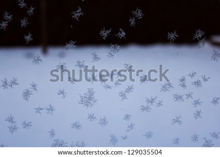 icy cold, ice crystals on a window