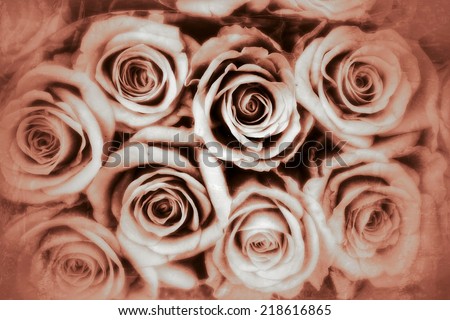 brown vintage roses background, condolences card background
