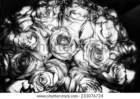 grey roses, condolences card background