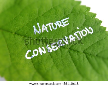 Environmental Pollution Essay