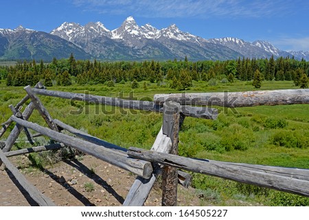 An old split rail fence, a field of wildflowers, and snow capped mountains.