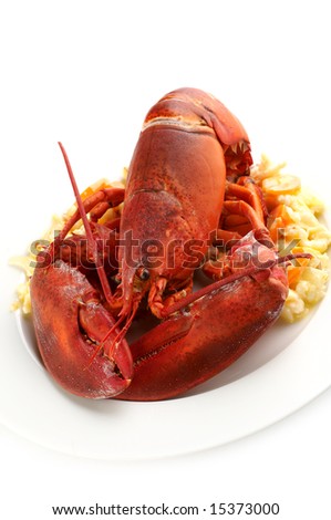 Irish food - lobster on butter potatoes