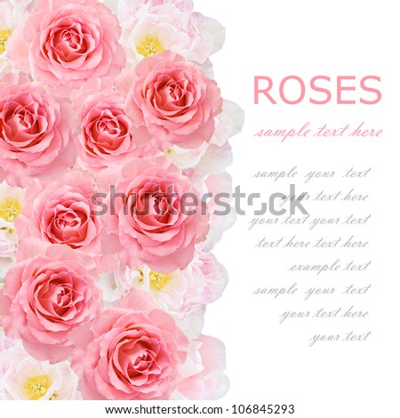 Tulips and roses background isolated on white with sample text