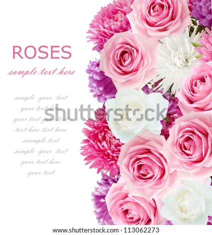 Asters and roses background isolated on white with sample text