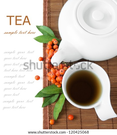 Tea breakfast (still life with tea cup, berry and fresh green leaves isolated on white background with sample text)