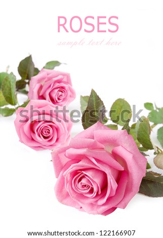 Greeting cart with pink roses isolated on white background with sample text