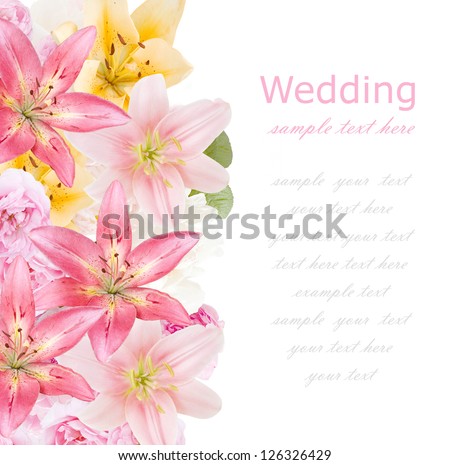 Wedding background (roses, peony and orchid flower isolated on white with sample text)