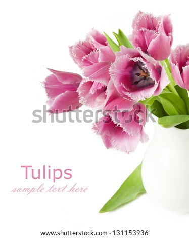Tulips bunch in vase isolated on white background