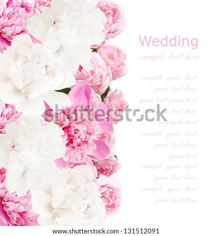 Peonies background. Peonies and roses bunch isolated on white with sample text