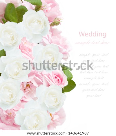 Roses wedding background isolated on white with sample text