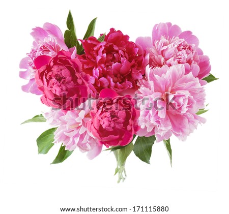 Peony Bunch Isolated On White Background