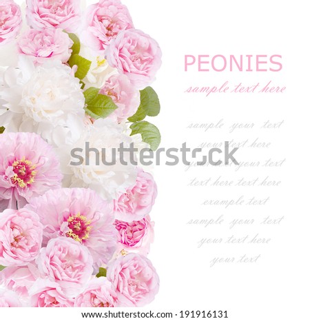 Flowers background isolated on white with sample text