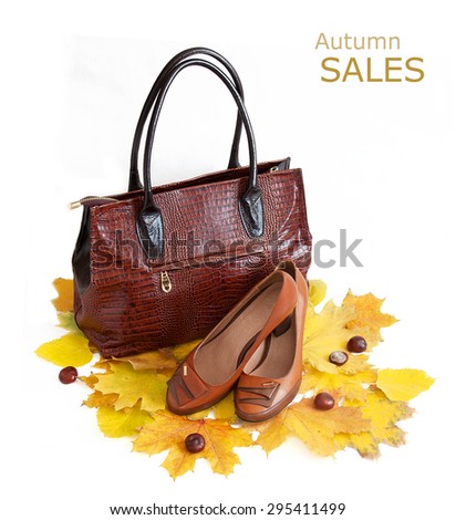 Leather luxury woman handbag and shoes isolated on white background with autumn leaves. Autumn sales concept