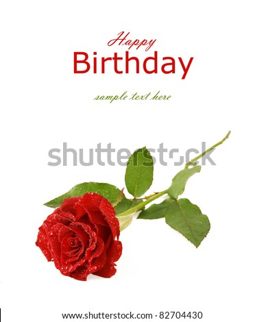 Red rose with early dew isolated on white with sample text