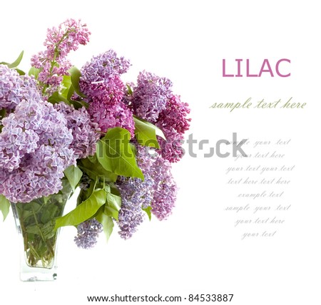 Rich bouquet with lilac isolated on white with sample text