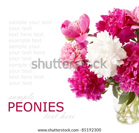 Bunch of purple, white and pink peonies in vase isolated on white with sample text
