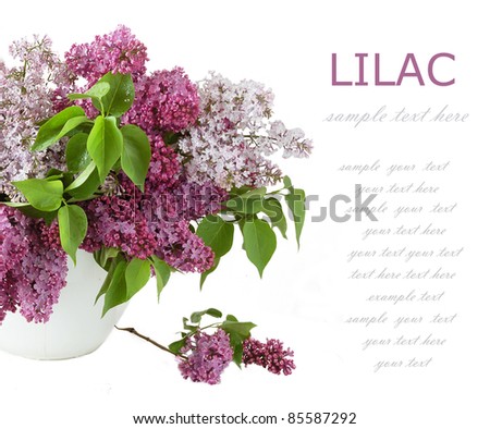 Rich bouquet with lilac in vase isolated on white with sample text
