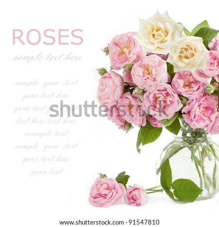 Bunch of pink and cream roses isolated on white with sample text