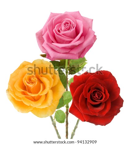 Bunch of red, yellow and pink roses isolated on white