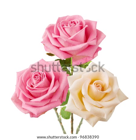 stock photo Wedding bunch of pink and cream roses isolated on white