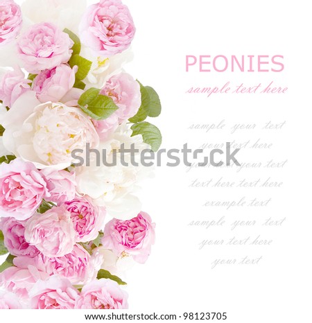 Background with peonies and roses isolated on white with sample text