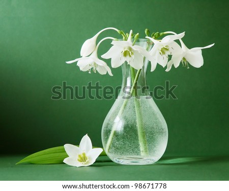 Still life with lily bunch in vase on artistic background