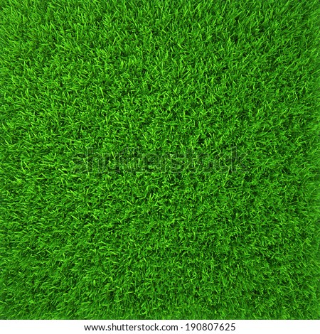 green grass. natural background texture. fresh spring green grass.