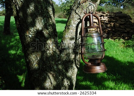 Old kerosene lamp hanged on a tree