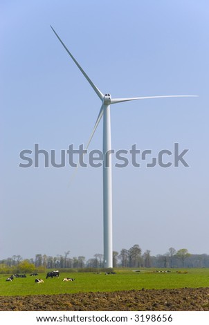 Vertical view of cows in a meadow pasturing  below an horizontal axis three-bladed wind turbine.
