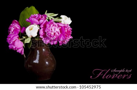 Bunch of pink peonies isolated on black background.