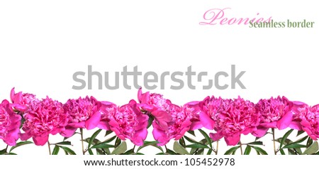 Seamless border of pink peonies isolated on white background.