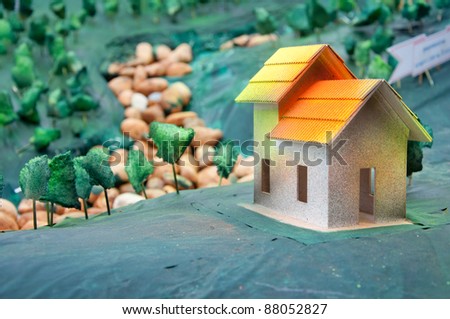house on hill model concept