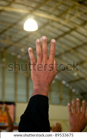 hand raising voting