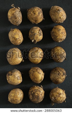 Freshly harvested young potatoes.