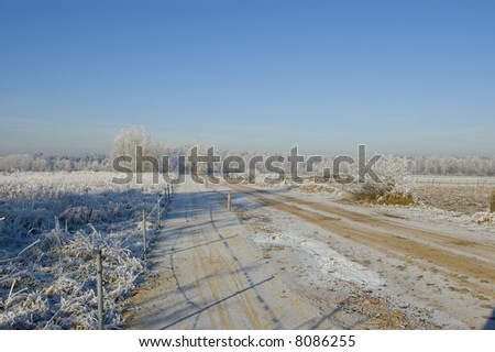 Snowy winterland with blue sky