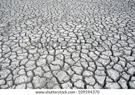 Cracked and dried ground of a wetland damaged by an extended drought in the midwest United States