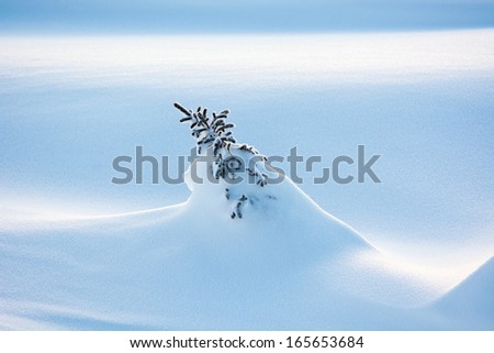 White drifting snow covers the ground following a blizzard near Churchill, Manitoba