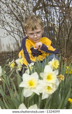 A young boy kneels down and looks at camera while sitting in front of a flower garden in rural Illinois.