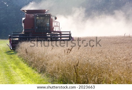 An Illinois farmer gives family members a ride while harvesting wheat