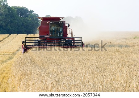 An Illinois farmer gives his family a ride in a combine while harvesting wheat