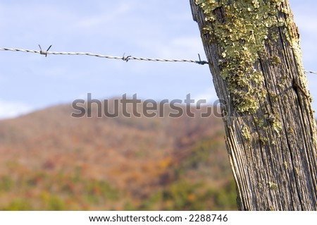 A barbed wire fence in Smoky Mountain National Park.