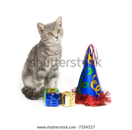kitten party hat