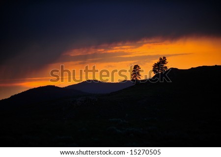 A rainstorm moves over a hillside at sunset on a summer evening in the American west.