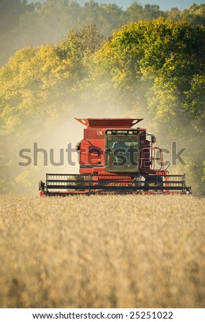 A farmer combines a field of soybeans during the harvest